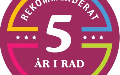 Rekommenderat städföretag för femte året i rad